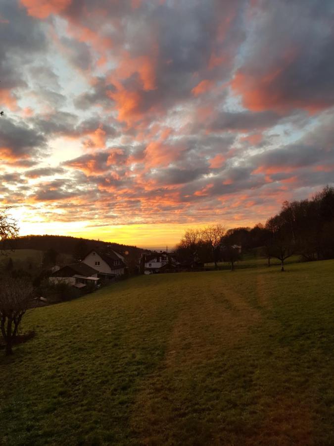 Ferienwohnung Tinas Beauty Neckarsteinach Dış mekan fotoğraf