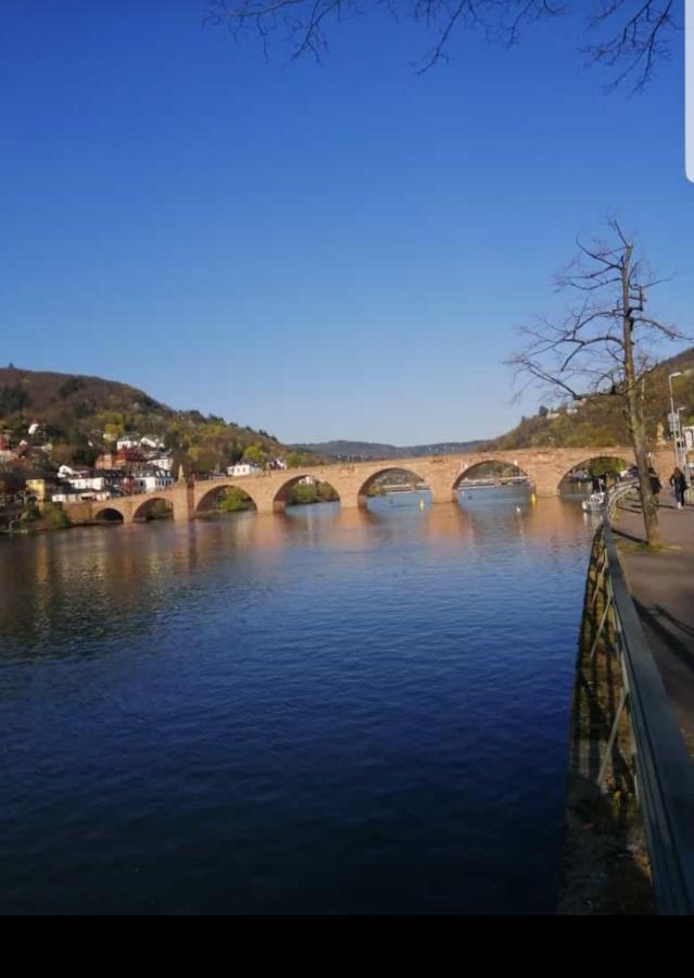 Ferienwohnung Tinas Beauty Neckarsteinach Dış mekan fotoğraf