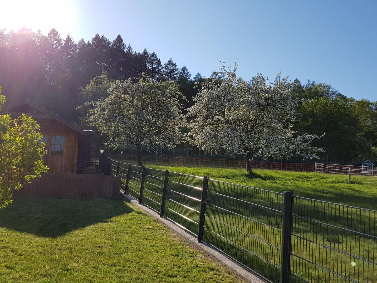 Ferienwohnung Tinas Beauty Neckarsteinach Dış mekan fotoğraf