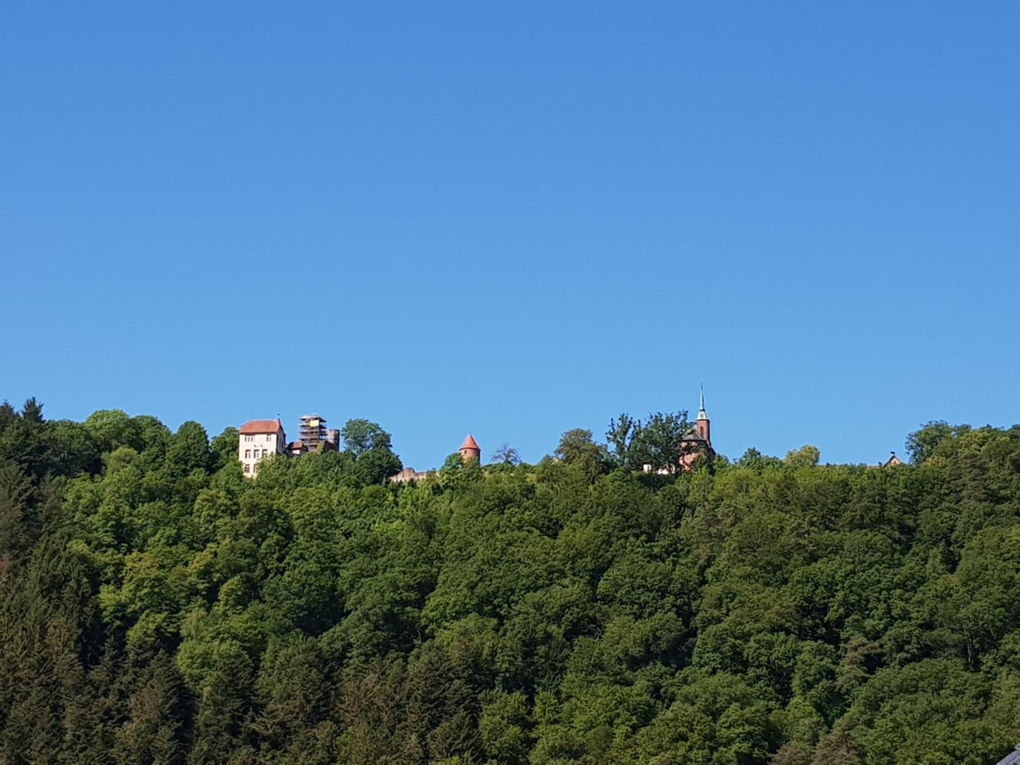 Ferienwohnung Tinas Beauty Neckarsteinach Dış mekan fotoğraf