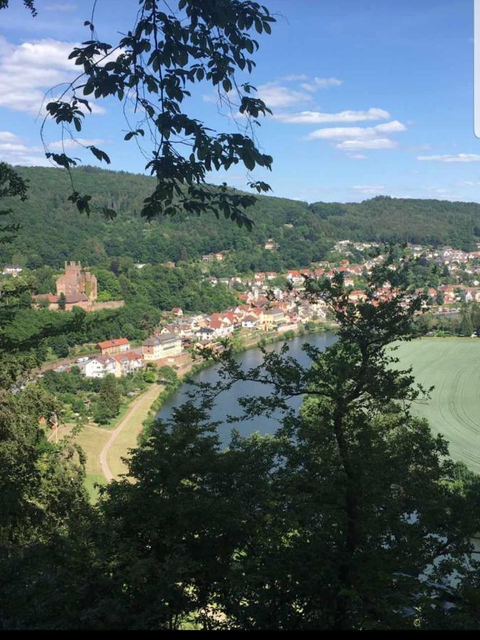 Ferienwohnung Tinas Beauty Neckarsteinach Dış mekan fotoğraf
