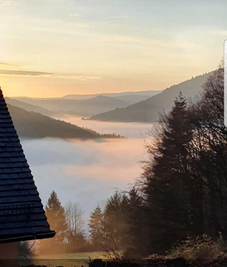 Ferienwohnung Tinas Beauty Neckarsteinach Dış mekan fotoğraf