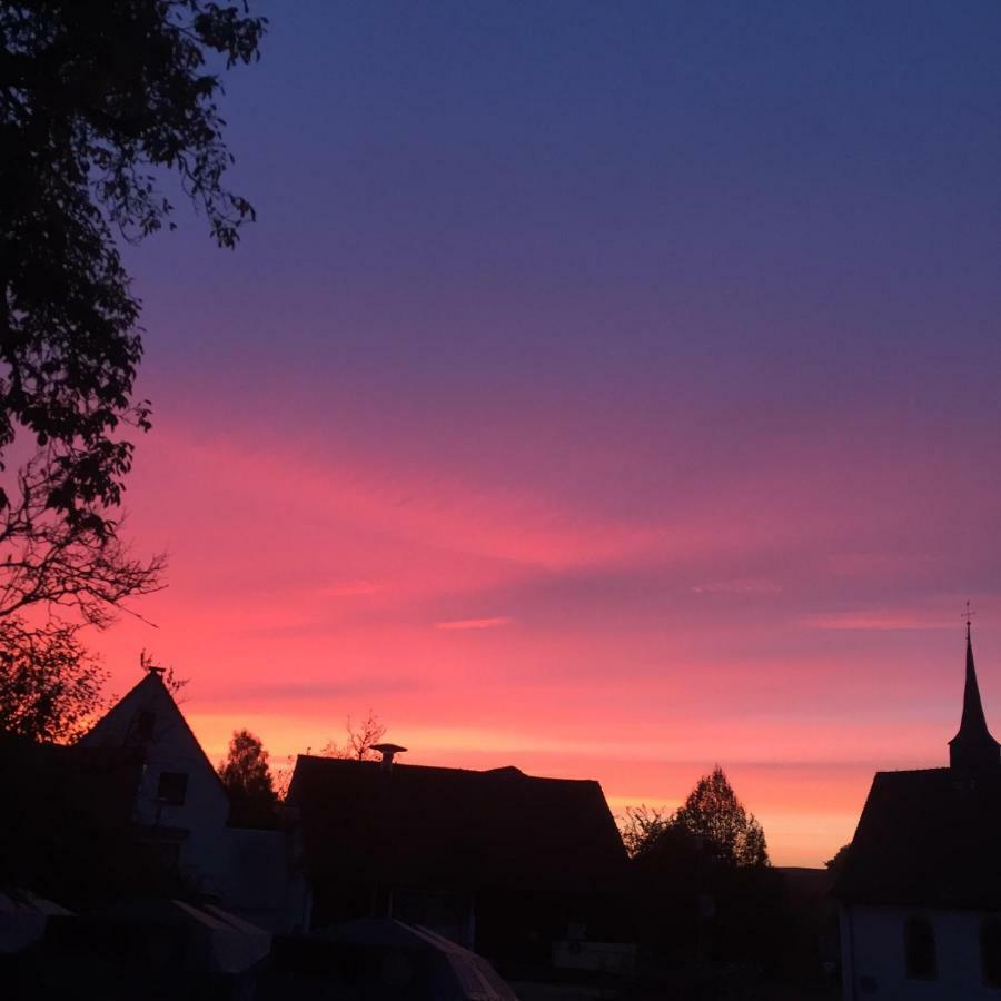 Ferienwohnung Tinas Beauty Neckarsteinach Dış mekan fotoğraf