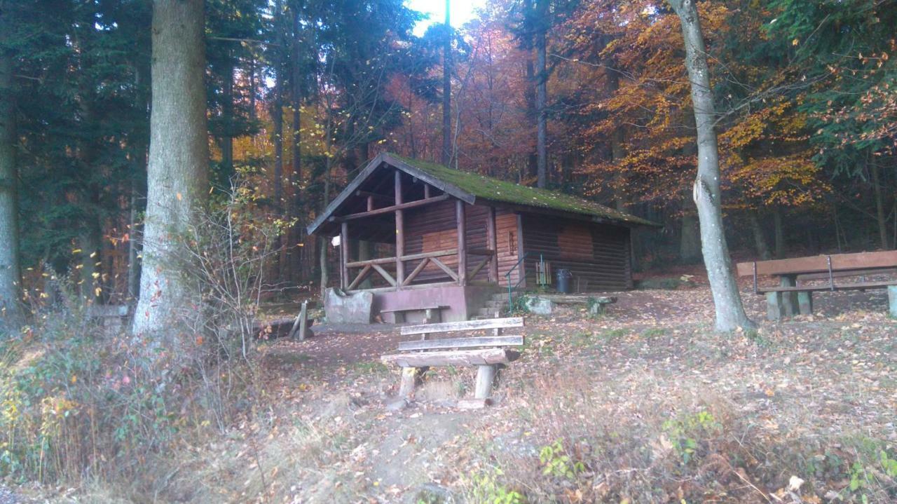 Ferienwohnung Tinas Beauty Neckarsteinach Dış mekan fotoğraf