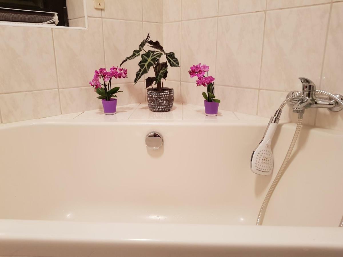 Ferienwohnung Tinas Beauty Neckarsteinach Dış mekan fotoğraf