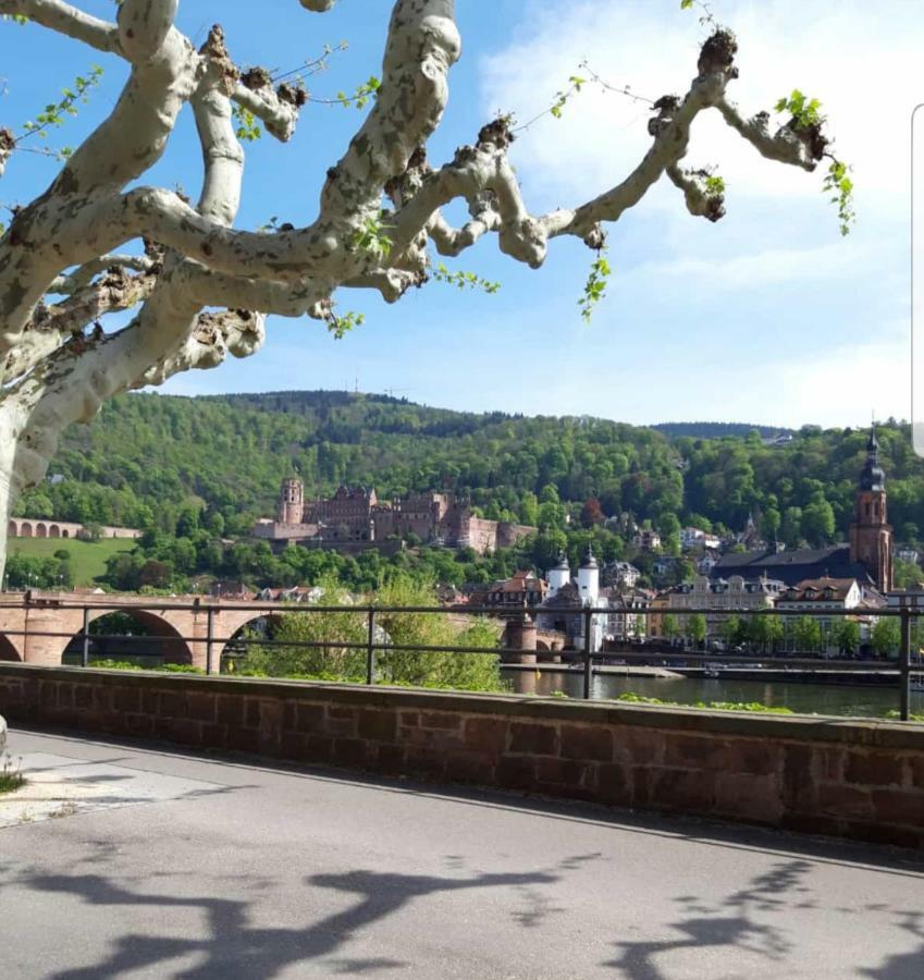 Ferienwohnung Tinas Beauty Neckarsteinach Dış mekan fotoğraf