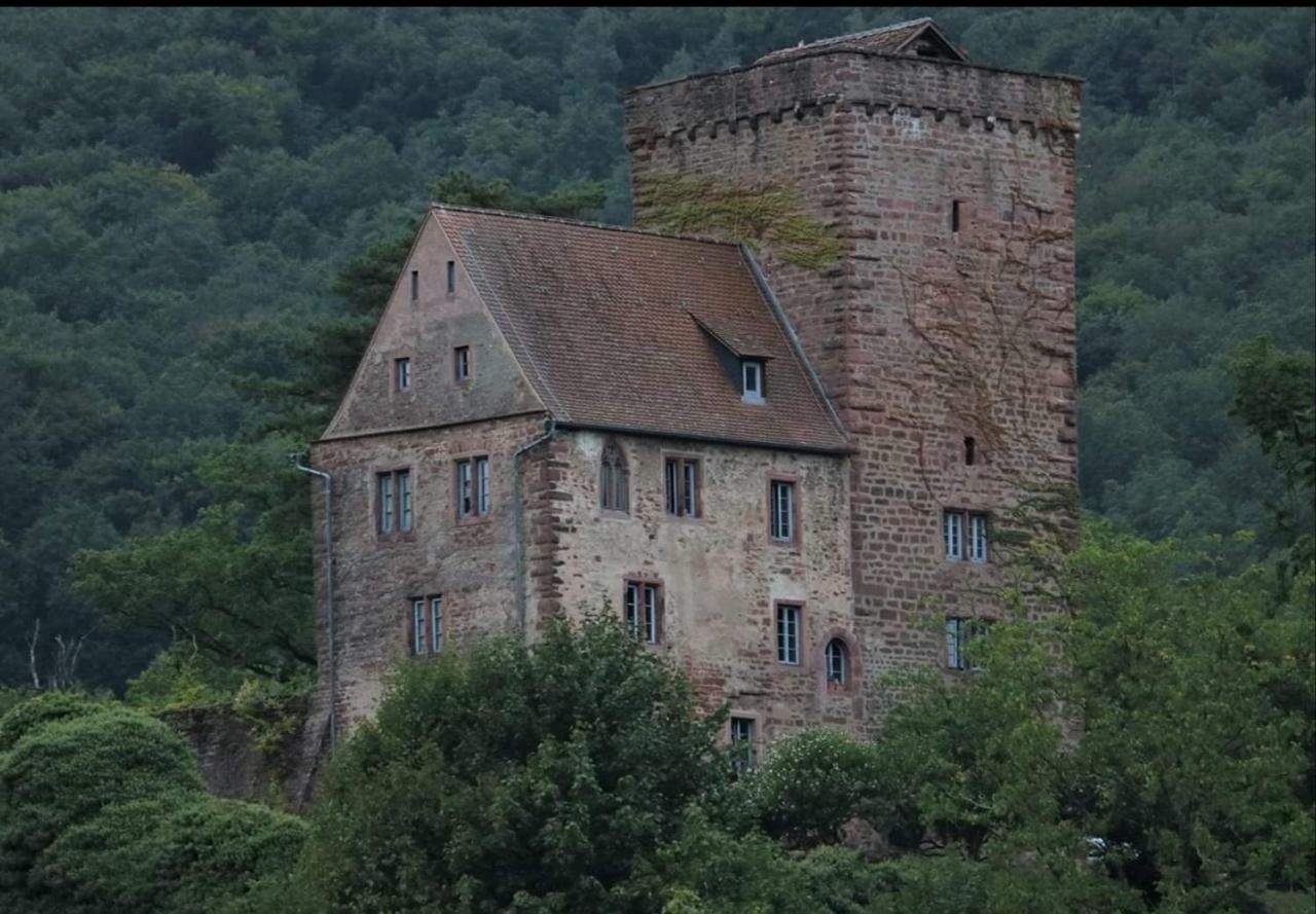 Ferienwohnung Tinas Beauty Neckarsteinach Dış mekan fotoğraf